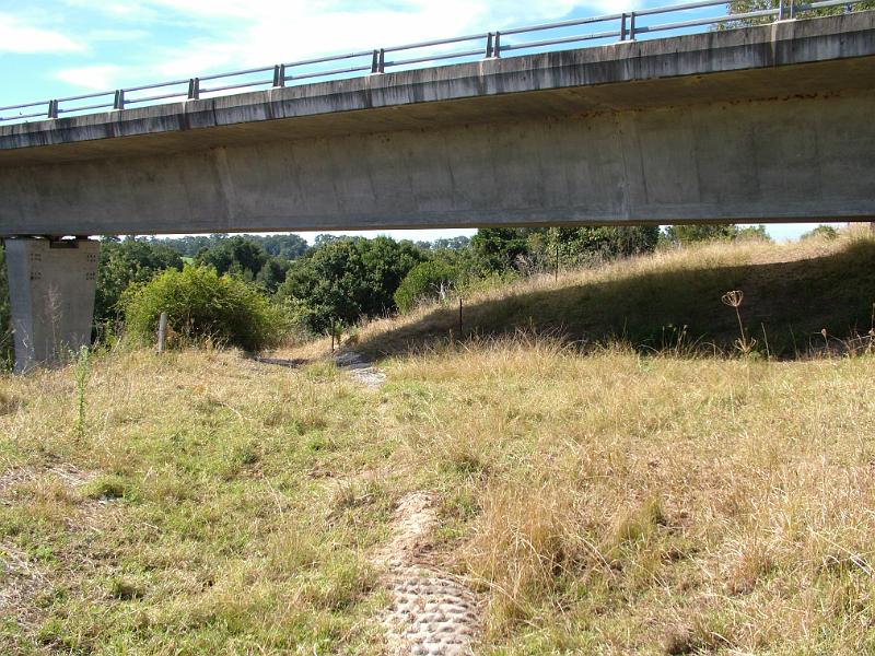 mt-george-august 004.jpg